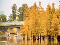-白鹭湾湿地公园