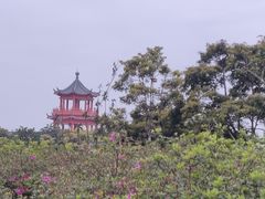 -梧桐山风景名胜区