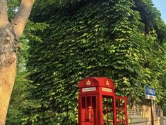 -巧克力渔家.小船海鲜家常菜(万平口店)