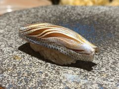 -镹·鱼料理  国产鱼使用店