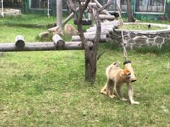 -西安秦岭野生动物园