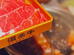 -温禾牛·和牛寿喜烧自助火锅(恒基名人店)