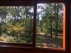 -合肥滨湖国家森林公园