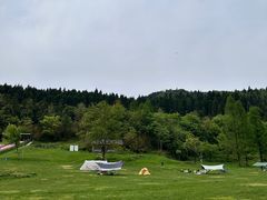 -武陵山森林公园