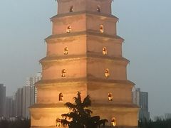 -长安·雅致观景餐厅