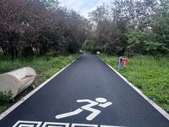 -北陵公园