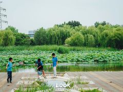 -太阳宫公园