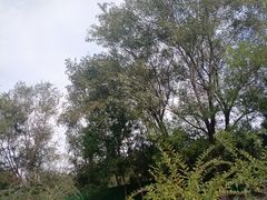 -东升文体公园