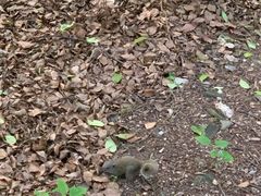 -蒋氏故居