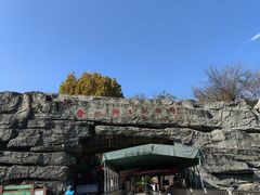-合肥野生动物园