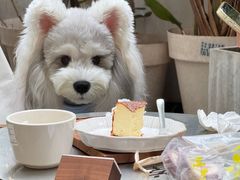 -素咫咖啡CLIFEROSE(新安店)