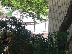 -风车面包