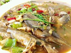 -盱眙红叶龙虾(金源北路店)