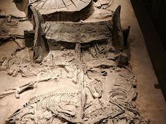 -北京大葆台遗址博物馆