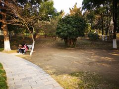 -堤角公园