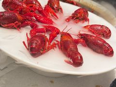 -红盔甲·小龙虾(天钥桥店)