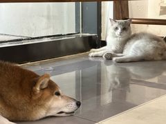 -NOTBAD 须时·咖啡馆