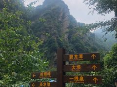 -庐山碧龙潭风景区