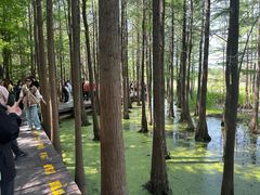 -云龙湖旅游景区