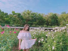 -人民公园(罗湖区)