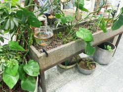 -大象造型