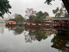 -侨美·唐荔园·40年地道粤菜