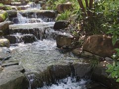 -中国茶叶博物馆(双峰馆区)