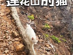 -汕头莲花山度假村温泉