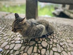 -西园戒幢律寺