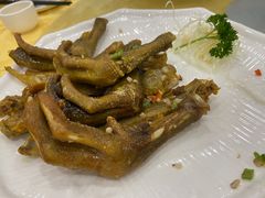-姚林轩