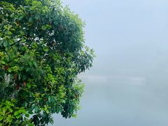 -华凌山庄·隐湖栖