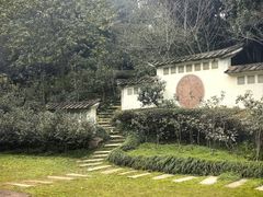 -南山植物园
