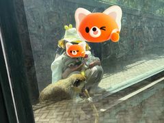 -无锡动物园·太湖欢乐园