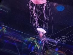 -北京海洋馆