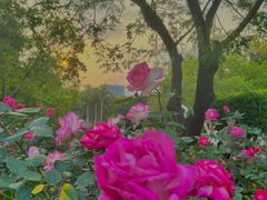 -人民公园(罗湖区)