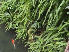 -大妙火锅·非物质文化遗产(东湖公园店)