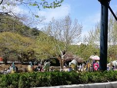 -大连森林动物园