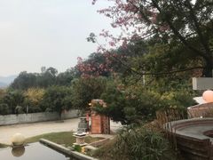 -凤阁楼果木烧鹅(鹤山陈山店)