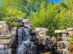 -南宫五洲植物乐园