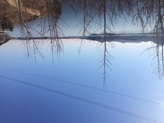 iphone_upload_pic-望湖烤鱼