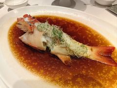 -鹿园 MOOSE(长宁店)