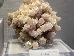 -湖南省地质博物馆