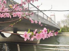 -映月湖中央公园