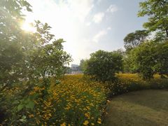 -映月湖中央公园