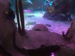 -沈阳海洋探索中心