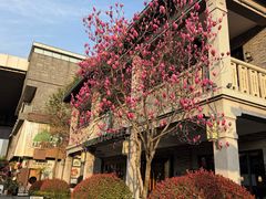 -星巴克(宁波月湖盛园店)