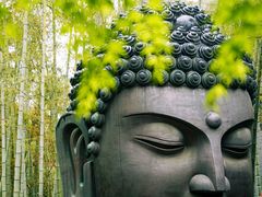 -杭州植物园