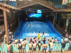 -杭州开元森泊度假乐园