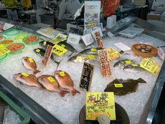 -海鮮寿司とれとれ市場