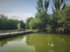 -森林公园(尖草坪区)